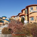 루나트리카페 이미지