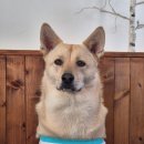 서령당약국 | 비장해지지말자. 할 수 있는 만큼만 하자. 내가 뭐 나라를 구할 것도 아니고.