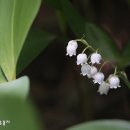 신구대학교 이미지