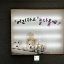뽀미네 놀다올개 | [목포 애견동반 공간] ‘머리하고 놀다올개’ 확장이전 방문후기