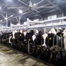 보령축산 이미지