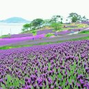 공영주차장 교통섬 이미지