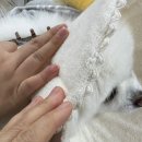 두암한방병원 이미지