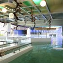 온천스파벨리 이미지