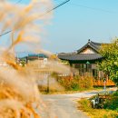 곡성안개마을 이미지