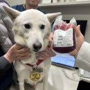 범어동물병원 이미지