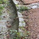 석굴암주차장 | 경주 APEC 가볼만한곳 등린이 토함산 최단코스 석굴암 불국사 등산 식당 후기