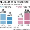 24.10.14 부동산 대출 부실 농협 수협사태,,상상 초월 70% 적자 위기..시장 반응..2025 자산시장 붕괴하나. 강의 이미지