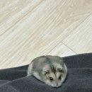 중경카 | 아 제목 뭘로 하지;;