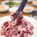 한마리통큰오리 이미지