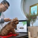 보령동물병원 이미지