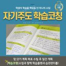 멘토코칭과외