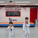 Only원태권도 이미지