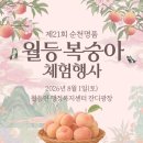 제17회 순천명품 월등 복숭아 체험행사 | [26.08.01] 제 21회 순천명품 월등복숭아 체험행사 초대가수 라인업 길려원 최나리 손민채 농수로 진철...