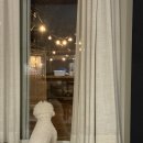 스테이제부 이미지