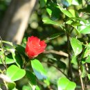 공곶이펜션 이미지