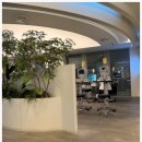 밝은미래안과 이미지