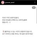 Groomer Ameri 이미지