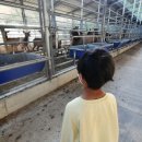 저동농장 이미지