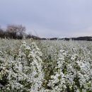 오성농원 이미지