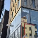 친환경머리염색 전문샵 | 샵꽁뜨 합정 퍼스널 염색 전문 고은원장님 톤다운 전체염색 내돈내산 후기