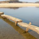 신월1리 이미지