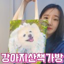 루루 반려견 | 강아지 산책가방 반려견 얼굴 사진 주문 제작 후기