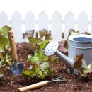 농촌목장 이미지