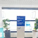 교보생명 동성로사옥 네이버블로그