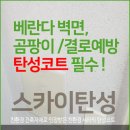 대구 남산휴먼시아2단지(구축) 최고급 스톤피쉬 후기 이미지