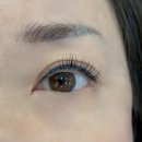 산호동207 | 마산 속눈썹. 마산 속눈썹 펌 필브로우 방문후기