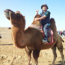 고비 태양광발전소 이미지