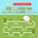 소락스위스 | 제주공항에서 서귀포 숙소 가는 길, 들르기 좋은 제주 여행 코스