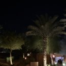 중동우리들약국 | [26.02] 두바이 여행기 - 아라비안 티 하우스 / 두바이 약국 / 사막호텔 밥 알 샴스 &amp; 알 하디라 뷔페 후기