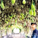 결성면 원천마을회관 이미지