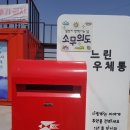 꽃까신 | 소무의도 섬 당일치기 여행!!후기