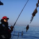 뚝지펜션 이미지