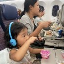 연신우리약국 | [여행] 인도네시아 - 발리 여행기 - 9~12일차 (짱구)