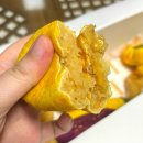 구황 | 창원 롯데백화점 구황작물 빵 후기