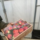 늘봄딸기농원 이미지