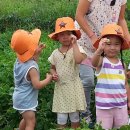 태선농장 이미지