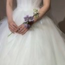 메종드엘라 이미지