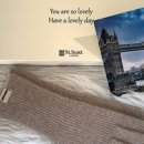 핑거프리 이미지