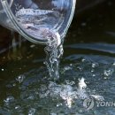 김동철사진연구소
