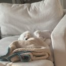 안경이야기 외동점 | 19세미만 출입금지!!!