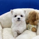 서원동-30 이미지