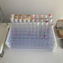 하정초등학교 | 십정동 속눈썹펌 아이뽀라 방문 후기 | 짧은속눈썹펌 후기