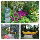 강서구 마곡동 ‘서울식물원’ / 공원과 식물원이 결합된 도시형 공원 이미지