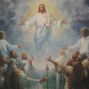 예산읍011 이미지