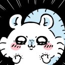 해뷰